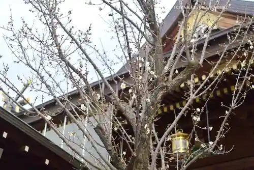 湯島天満宮(東京都)