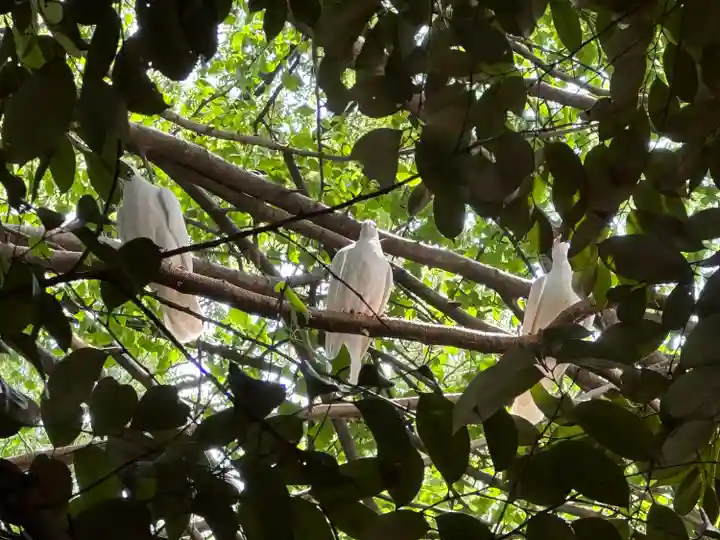 靖國神社(東京都)