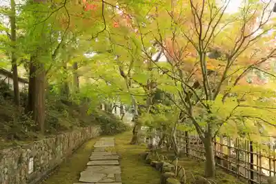 苗秀寺(京都府)