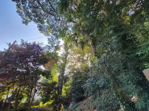 諏訪大神社の自然