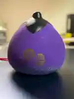 賀茂別雷神社(上賀茂神社)(京都府)