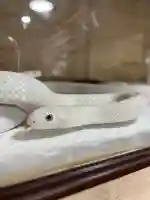 九重白蛇参拝所 龍昇院(大分県)