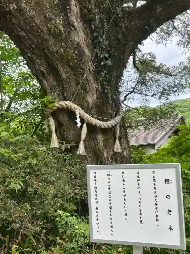 久安寺(大阪府)