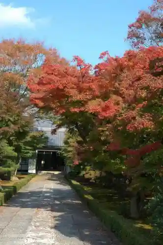 相国寺（相国承天禅寺）の建物その他