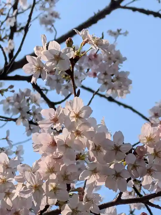 神明氷川神社(東京都)