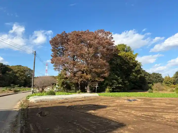 妙見神社(千葉県)