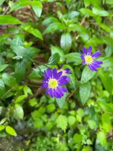 施福寺(大阪府)