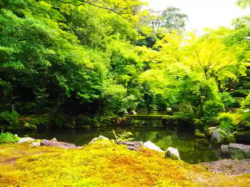 知恩院の庭園