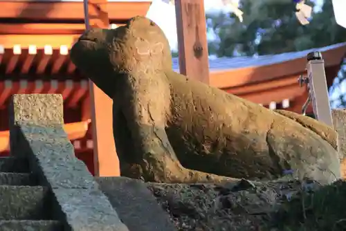 阿久津「田村神社」（郡山市阿久津町）旧社名：伊豆箱根三嶋三社の狛犬