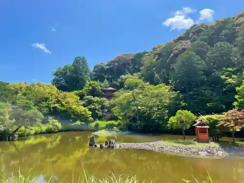 浄瑠璃寺の{uncategorized: "未分類", other: "その他", undefined: "問題あり", building: "その他建物", grave: "お墓", sacred_gate: "鳥居", guardian: "狛犬", statue: "像", buddha: "仏像", history: "歴史", nature: "自然", garden: "庭園", animal: "動物", pagoda: "塔", temizu: "手水舎", mountain_gate: "山門・神門", sanctuary: "本殿・本堂", subordinate: "末社・摂社", art: "芸術", scenery: "景色", jizo: "地蔵", ema: "絵馬", goshuin: "御朱印", omikuji: "おみくじ", items: "授与品その他", amulet: "お守り", goshuincho: "御朱印帳", eats: "食事", festival: "お祭り", votive_dance: "神楽", shichigosan: "七五三参", wedding: "結婚式", experience: "体験その他", initially: "初詣", around: "周辺", anti_infection: "感染症対策"}