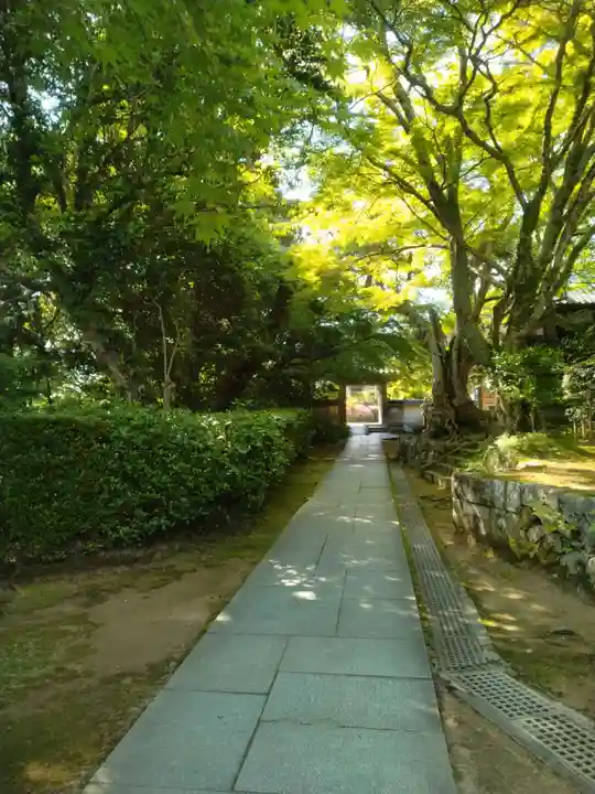 花山院菩提寺(兵庫県)