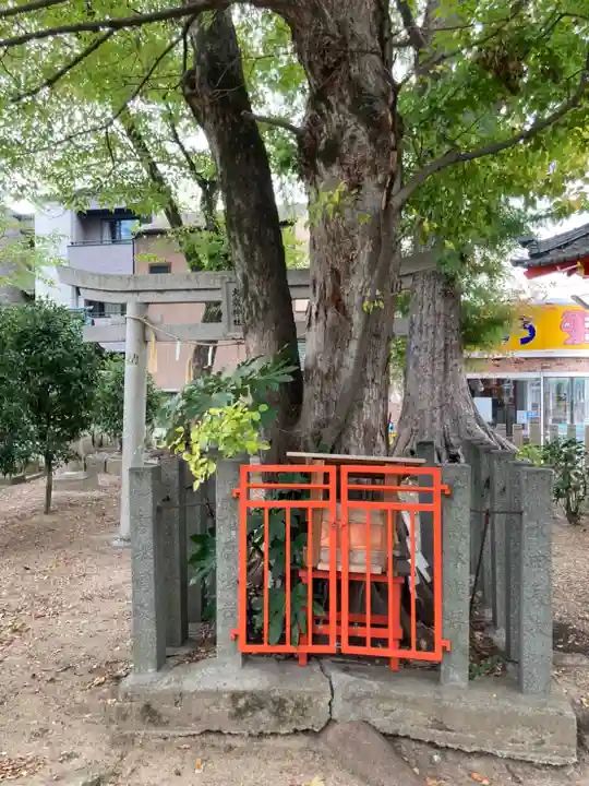 粟津天満神社の自然