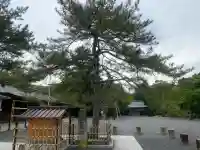 氣比神宮(福井県)