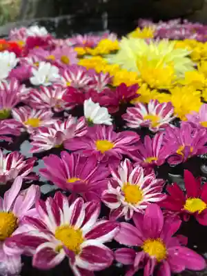大鏑神社の手水舎