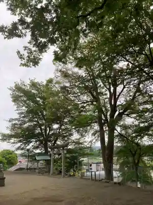 健速神社(神奈川県)