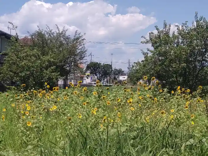 進雄神社(群馬県)