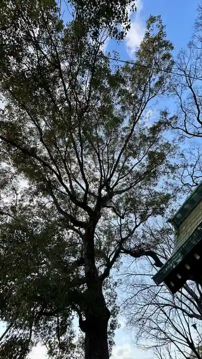 彌刀神社(大阪府)