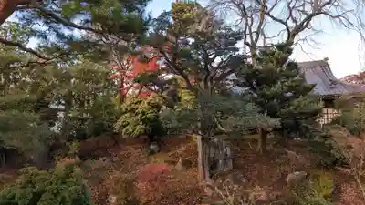 相国寺（相国承天禅寺）(京都府)