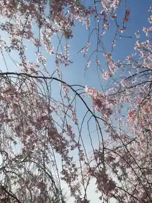 三嶋大社(静岡県)