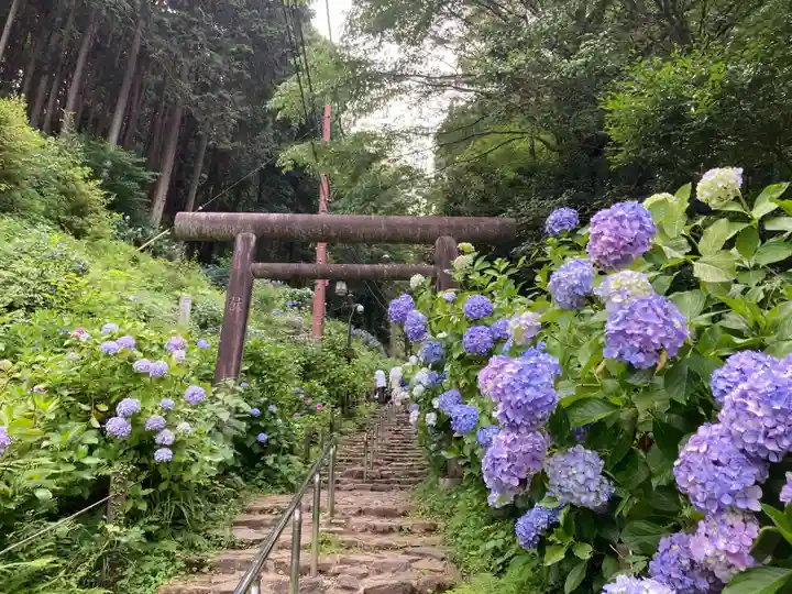 太平山神社(栃木県)
