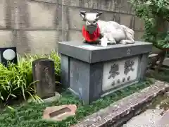 櫻天神社の狛犬