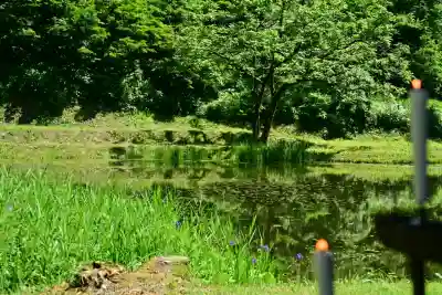 郡殿の池弁財天社(新潟県)