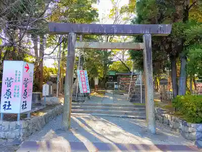 津島神社の鳥居