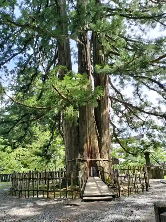 戸隠神社中社(長野県)