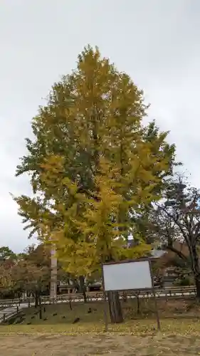  智積院(京都府)