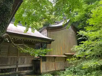 秦神社(高知県)