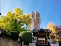 善福寺(東京都)