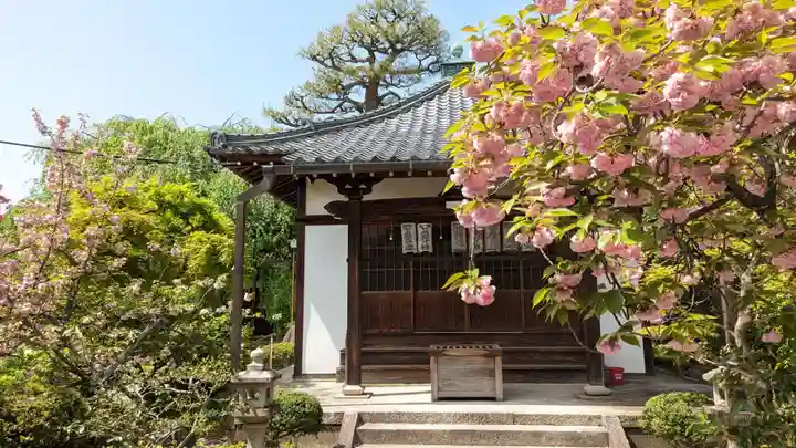 本満寺(本願満足寺)(京都府)