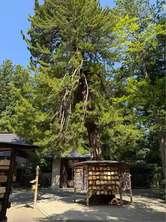 大崎八幡宮(宮城県)
