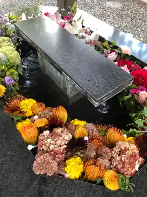 新琴似神社の手水舎