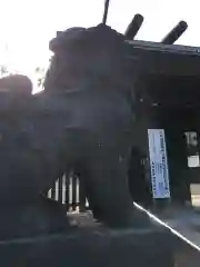 札幌護國神社の狛犬