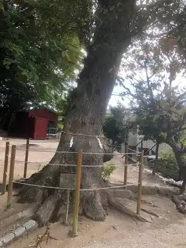 衣掛天満宮の自然