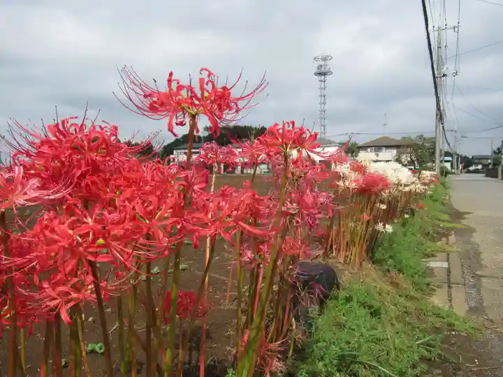 真光寺(千葉県)