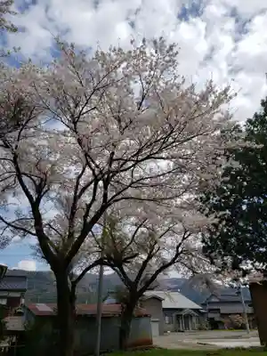 十二神社の自然