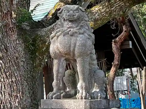 滋賀県護国神社の狛犬