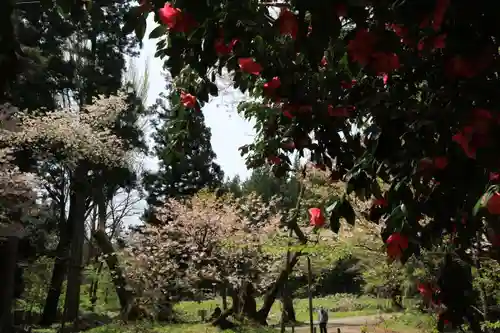 磐椅神社の自然