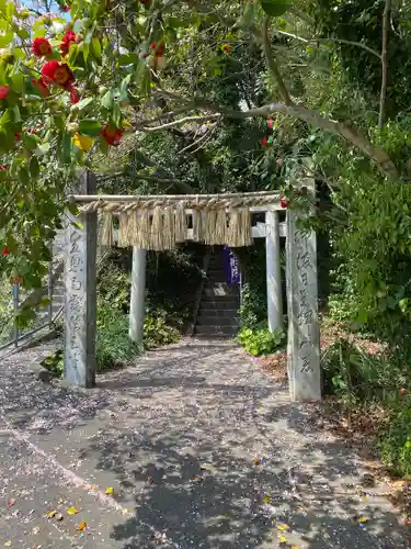 堤八幡宮の鳥居