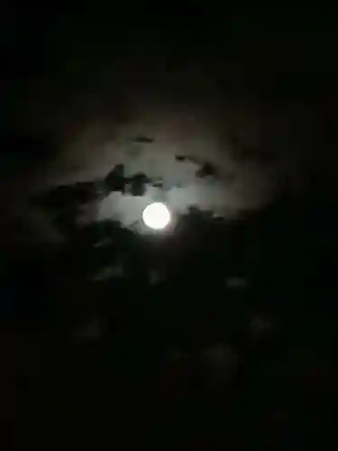 伏木香取神社の自然