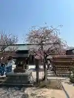 岩津天満宮の自然