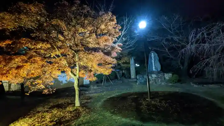妙顯寺(妙顕寺)(京都府)
