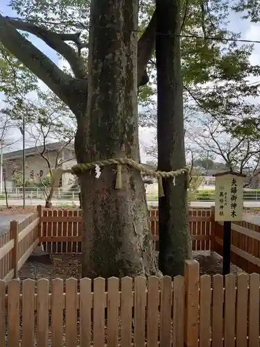 高椅神社の自然