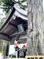 矢彦神社(長野県)