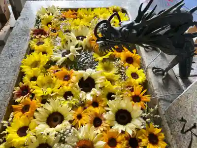 札幌諏訪神社の手水舎