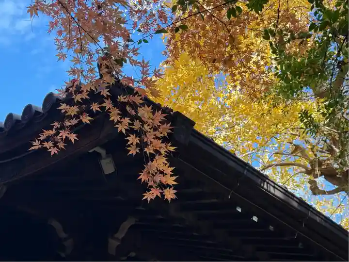 四合稲荷神社(東京都)