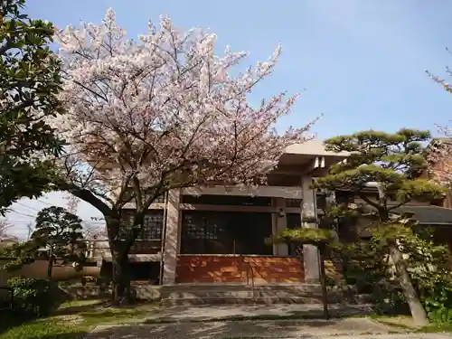 常徳寺の本殿・本堂