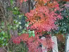 柳谷観音　楊谷寺(京都府)